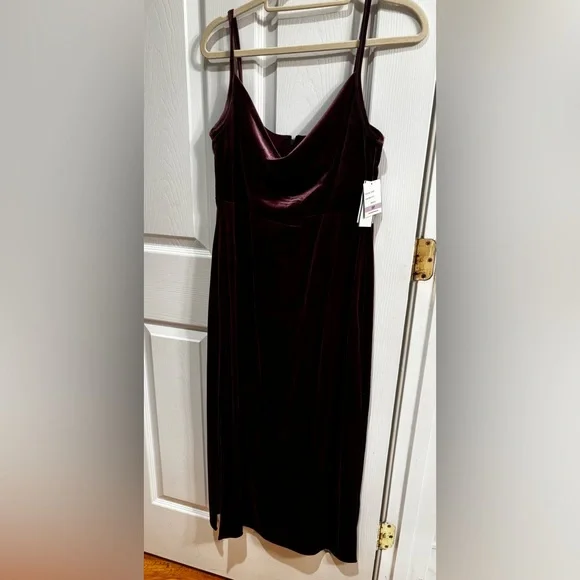 knee length dresses for ladies Taylor Velvet Rose Midi Dress main image 0